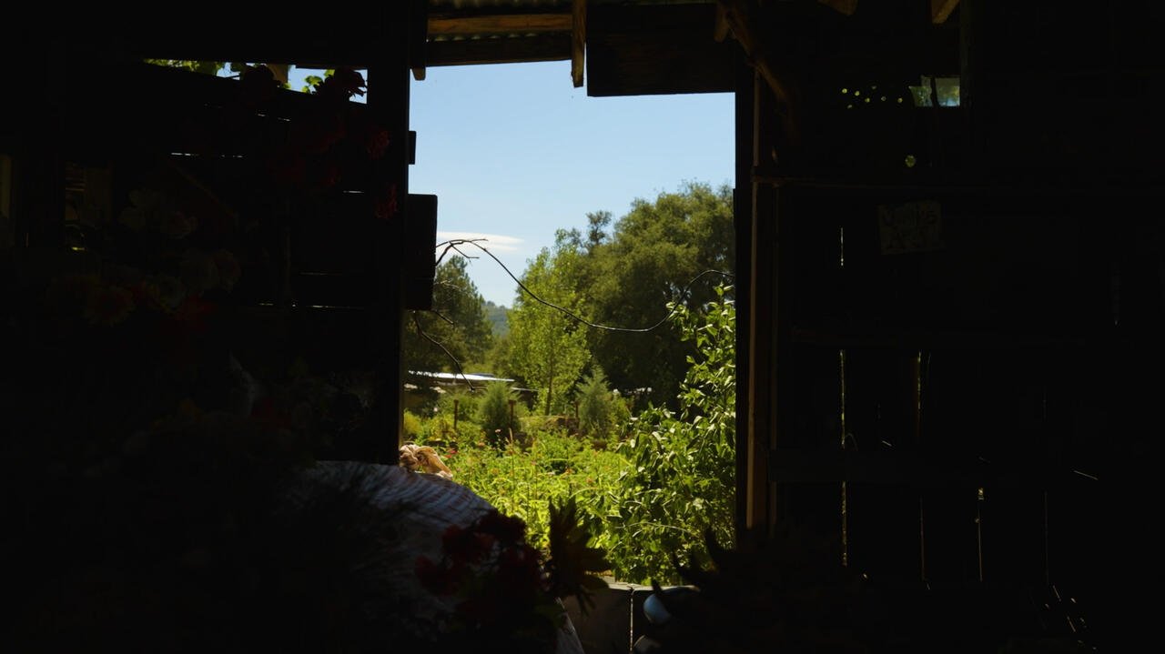 Untitled Untitled
